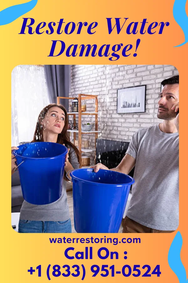 water restoration Rapid Water Mitigation Company Slatedale